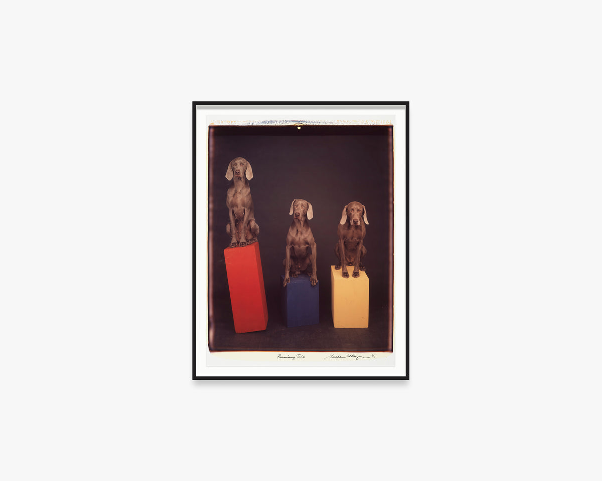 Primary Trio