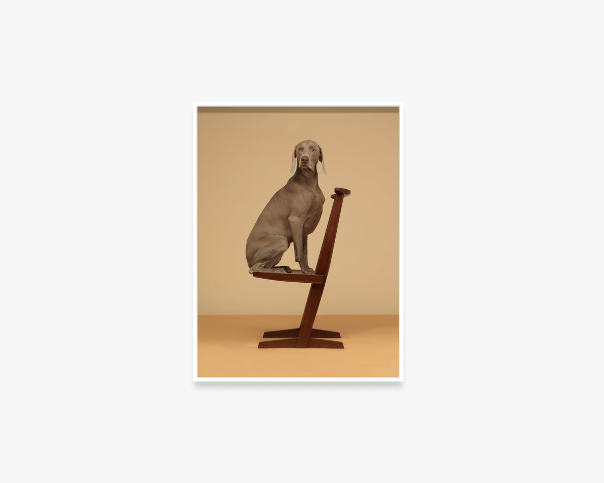 Cantilever