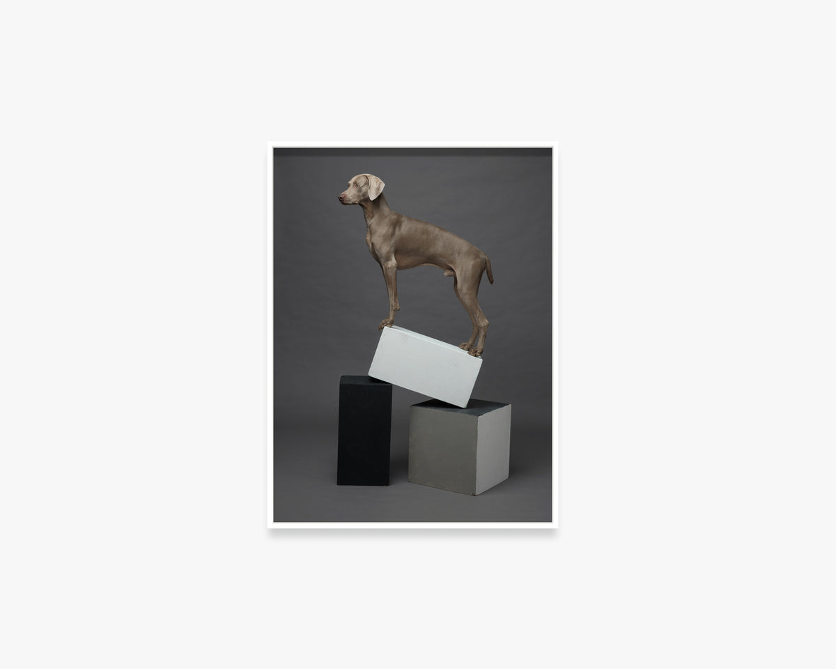 Cubist