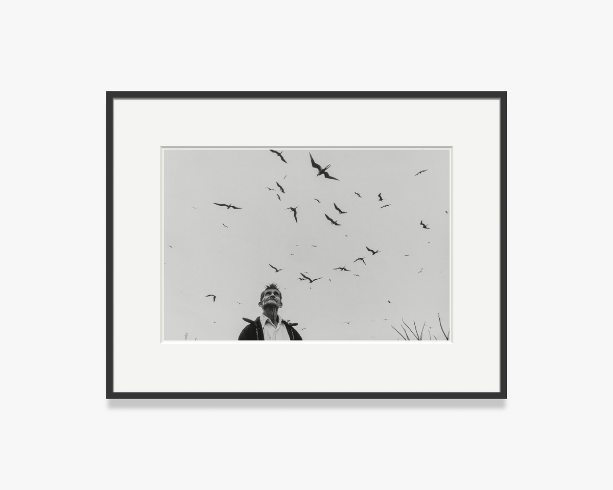 Señor de los Pájaros [Lord of the Birds]
