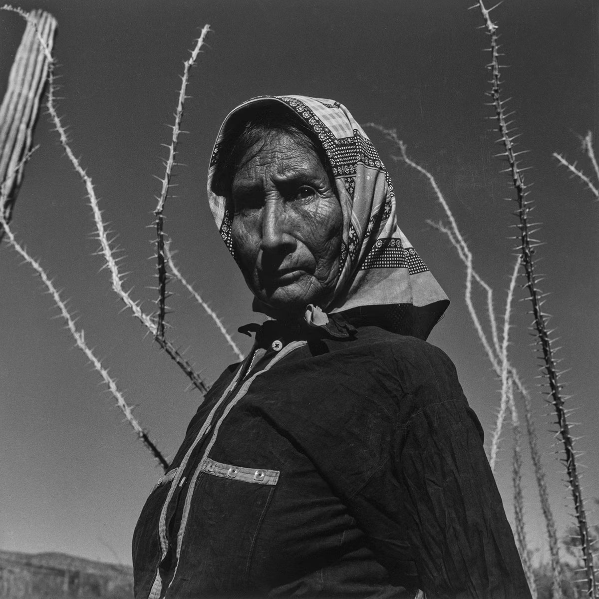Black and white photo of a person wearing a patterned headscarf in front of cacti.