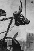 Bicycle with a bull head sculpture against a textured wall.