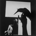Black and white photograph of a hand holding a bird with a mirror reflecting the scene.