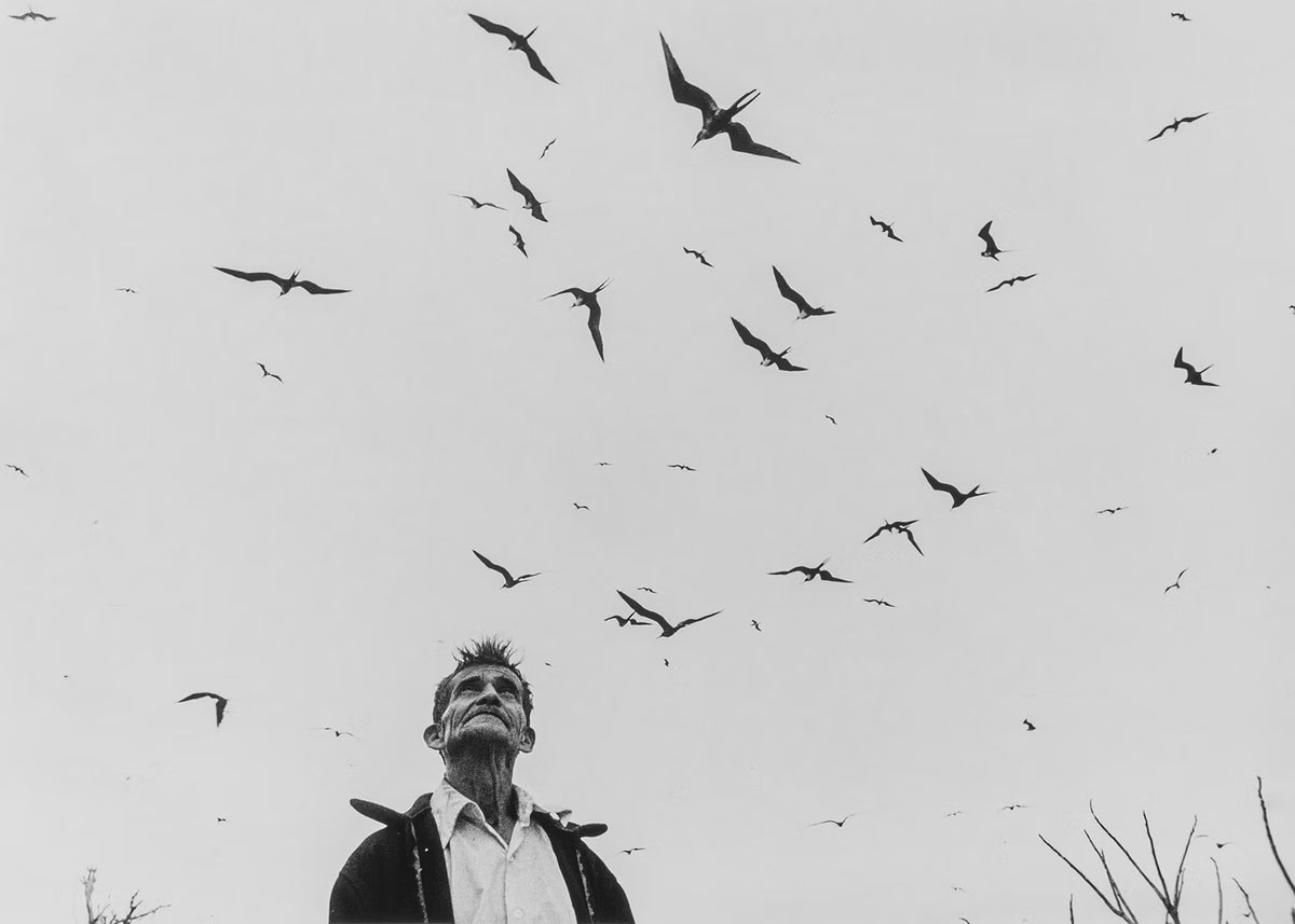 Man with birds flying around him against a gray sky