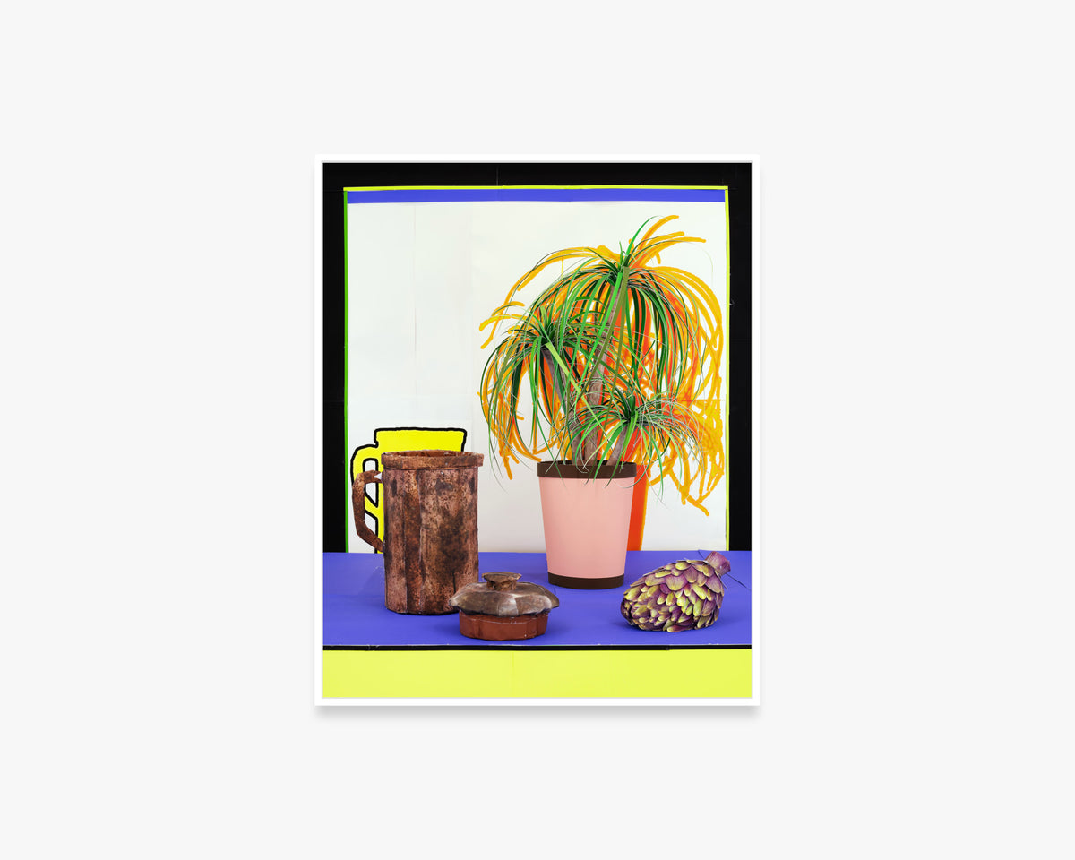 Ponytail Palm and Pitcher