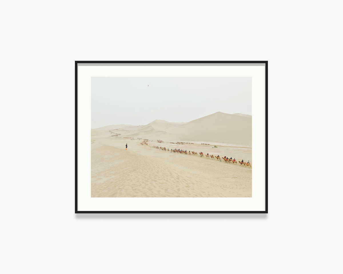 People riding camels in the desert