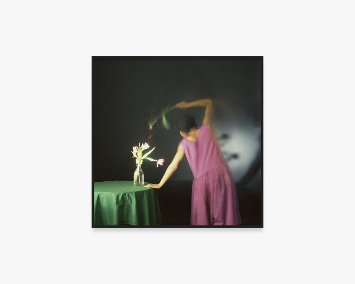 Dancing with Tulips