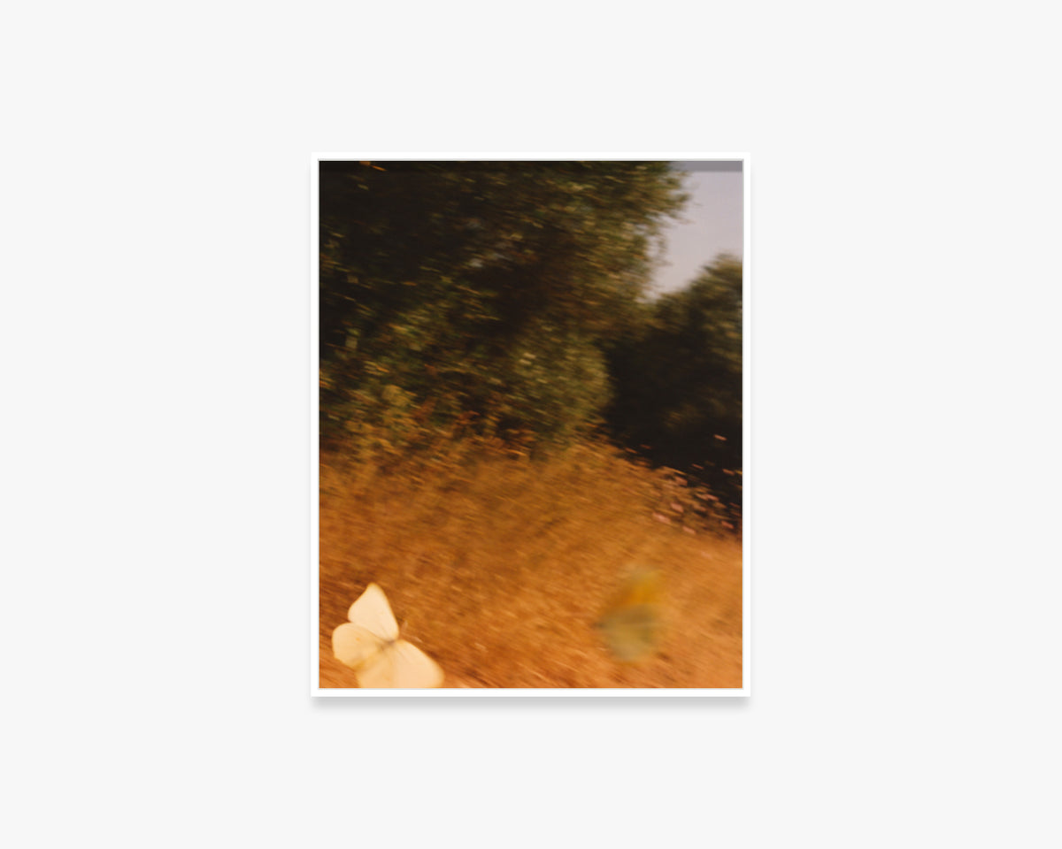 Untitled from the series, ‘l’Empordà’
