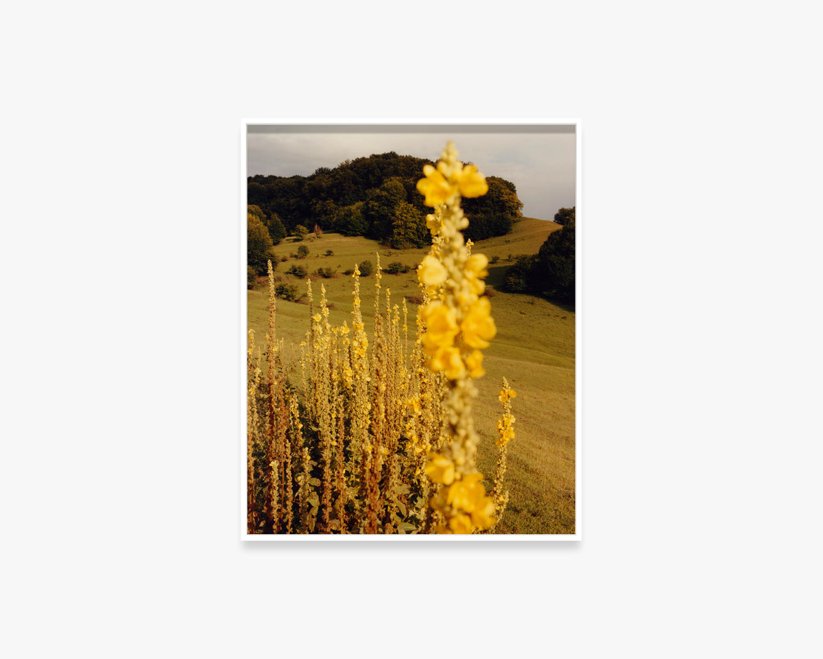Untitled from the series, ‘l’Empordà’
