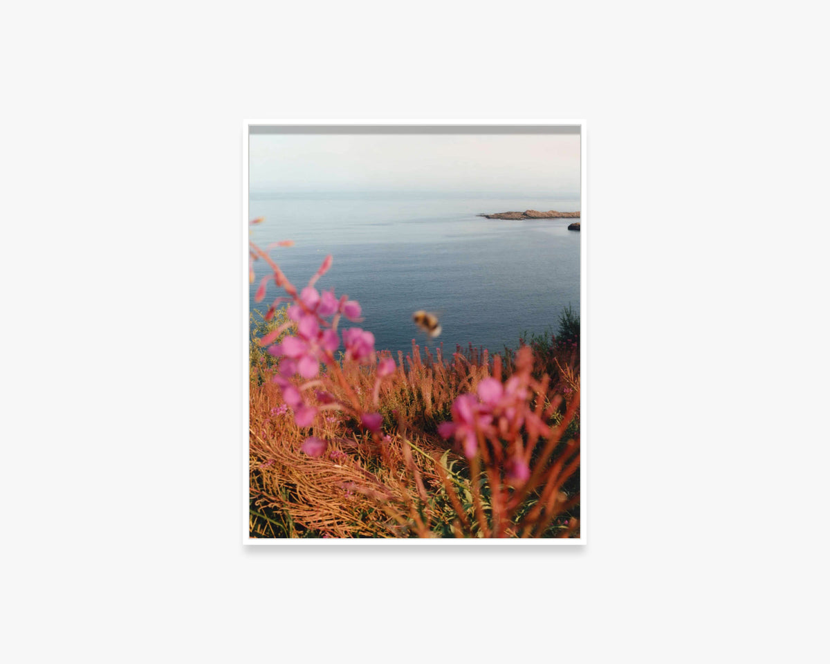 Untitled, from the series ‘The British Isles’