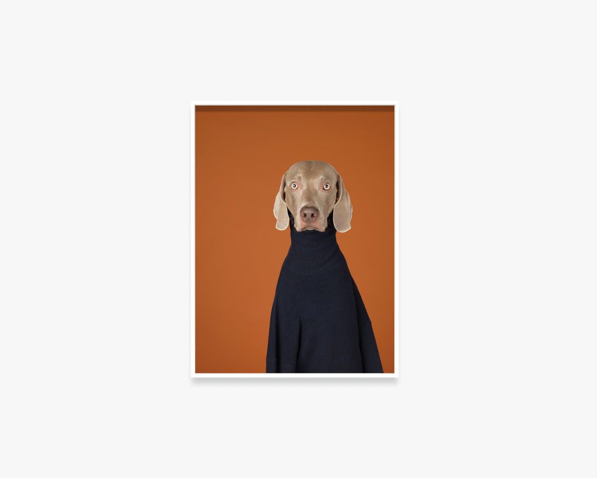 Turtle Neck