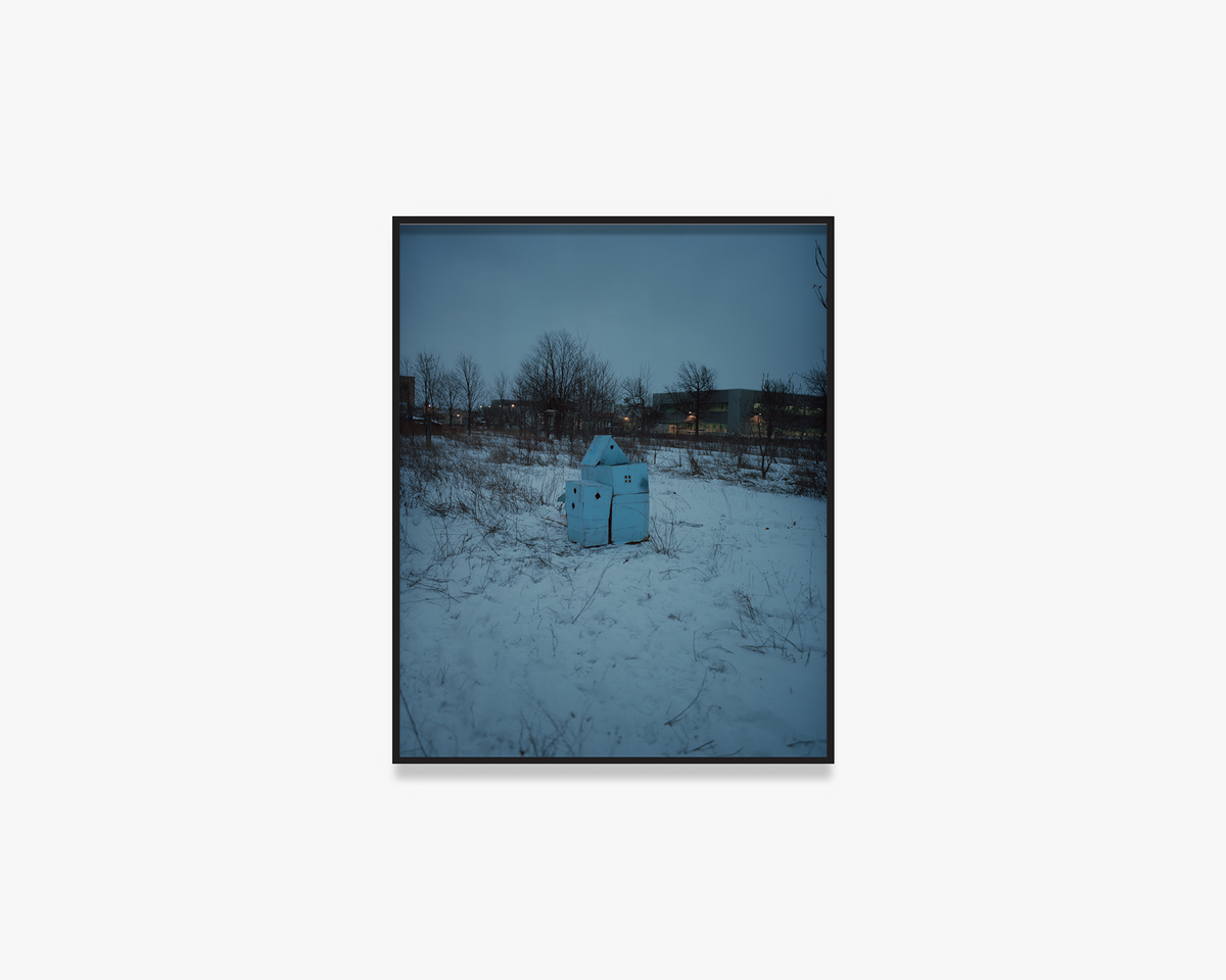 Untitled, from the series ‘King, Queen, Knave’