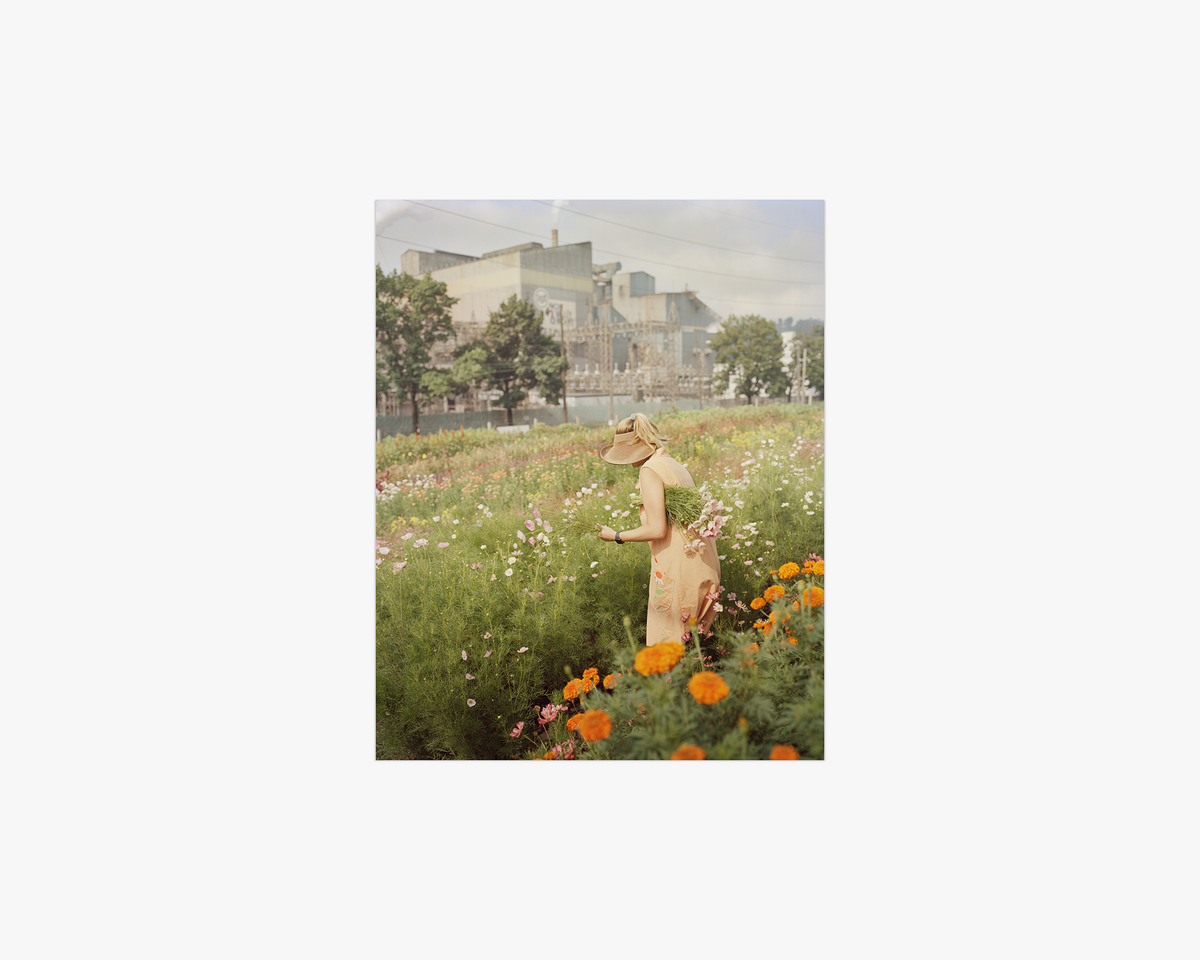 Untitled, from the series ‘King, Queen, Knave’, 2003-2023, 8